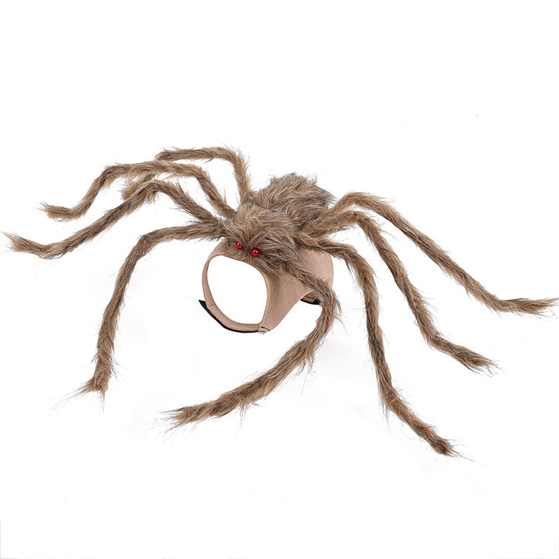 Spider Halloween Costume