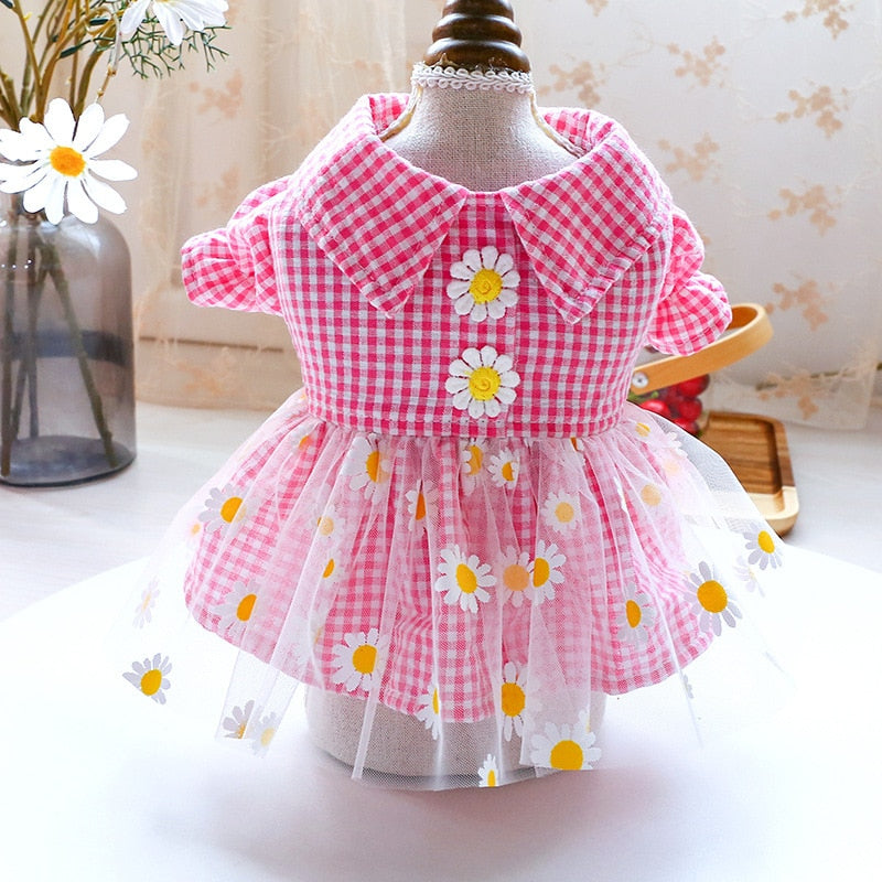 Summer Daisy Dress