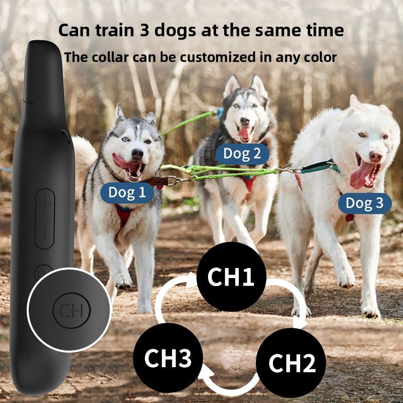 Dog Training Collar