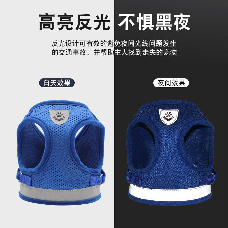 Harness/Leash Set
