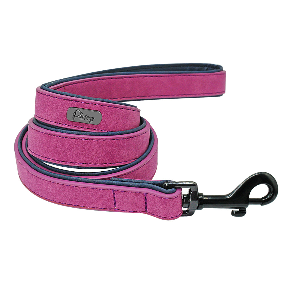Personalized Leather Collar/Leash