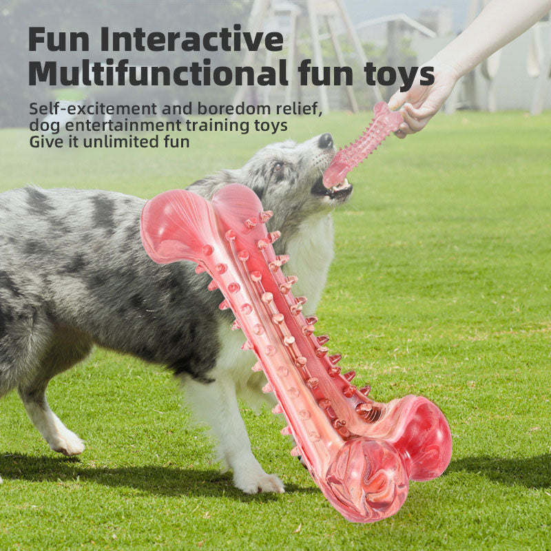 Rubber Chew Toy