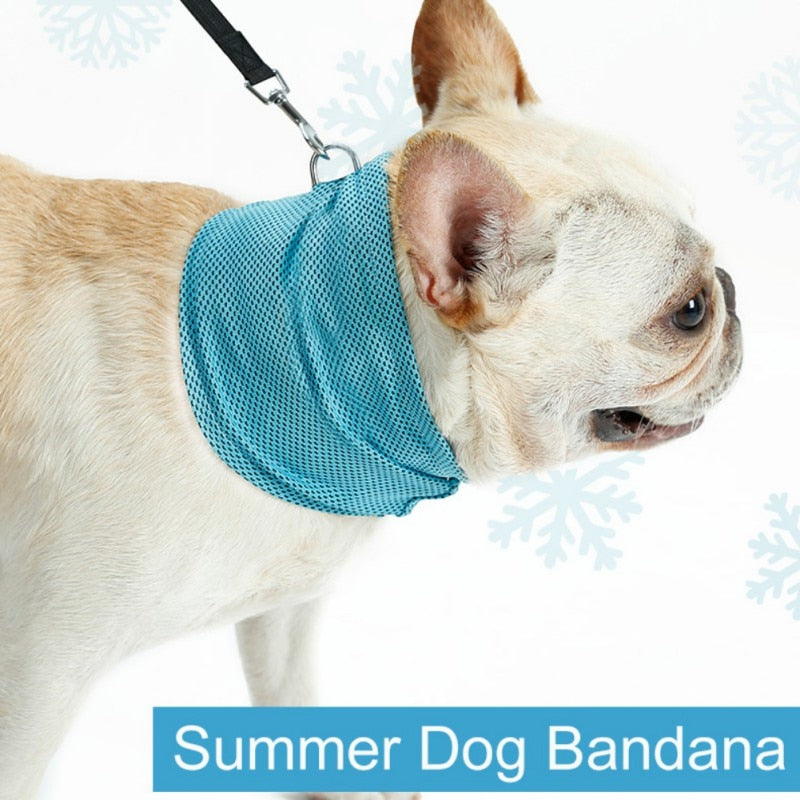 Summer Pet Cooling Bandana