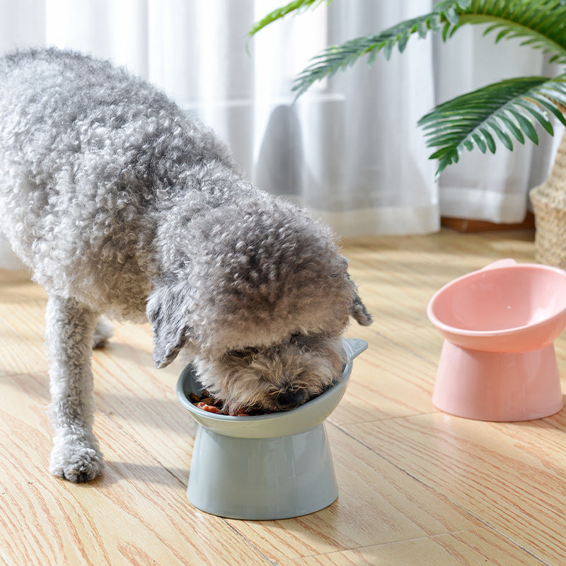 Small Dog/Cat Bowl