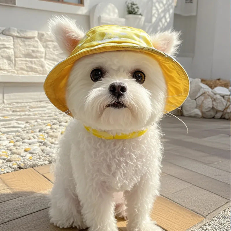 Cute Pet Hats