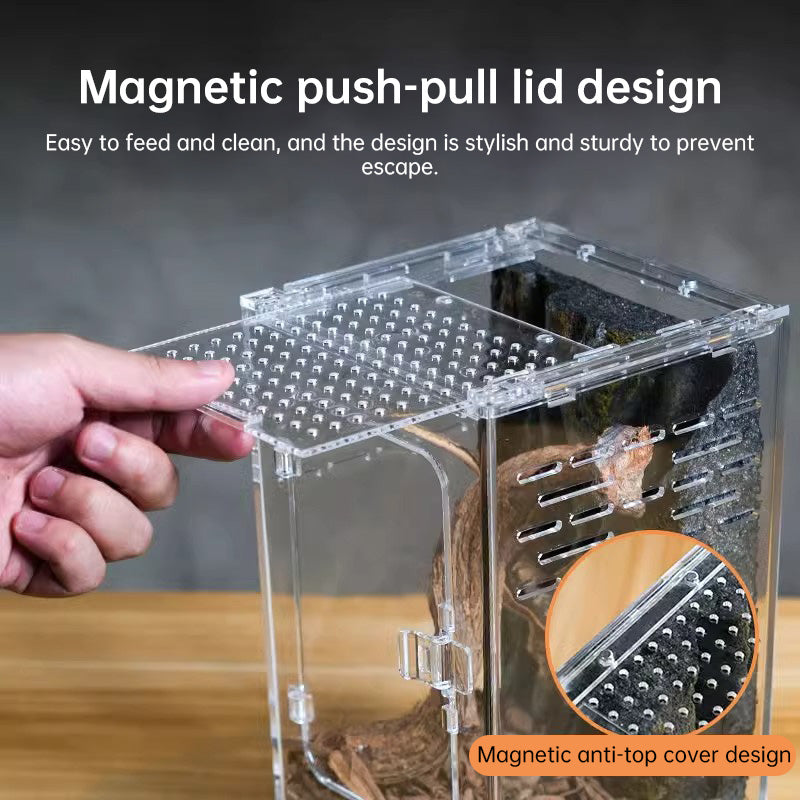 Acrylic Arachnid/Bug Enclosure