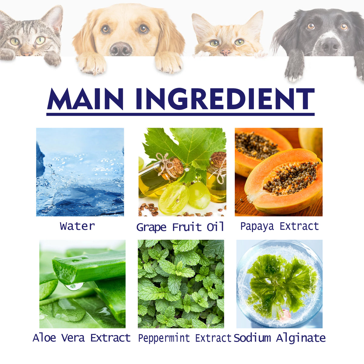 Pet Toothpaste