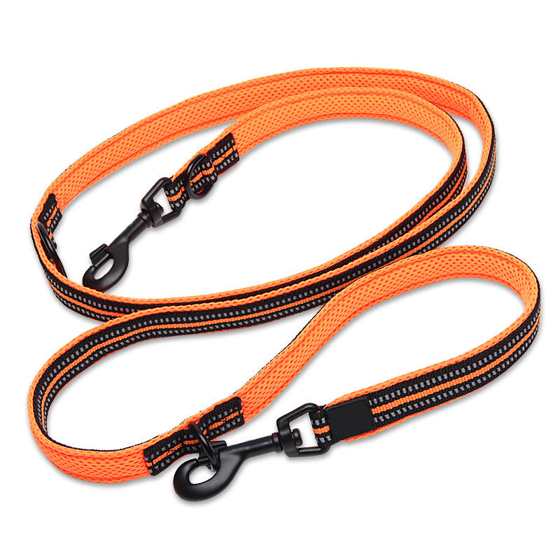 Multifunction Leash