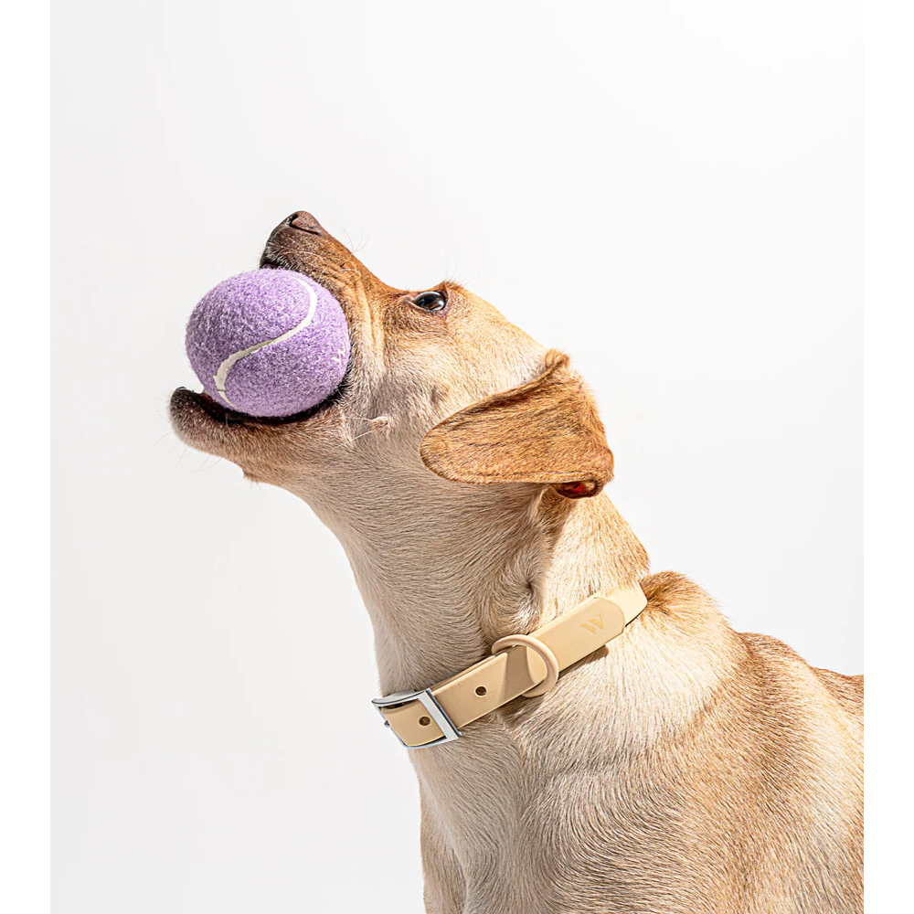 Tennis Ball Cup Dog Toy