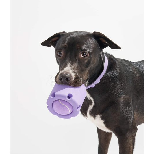 Tennis Ball Cup Dog Toy