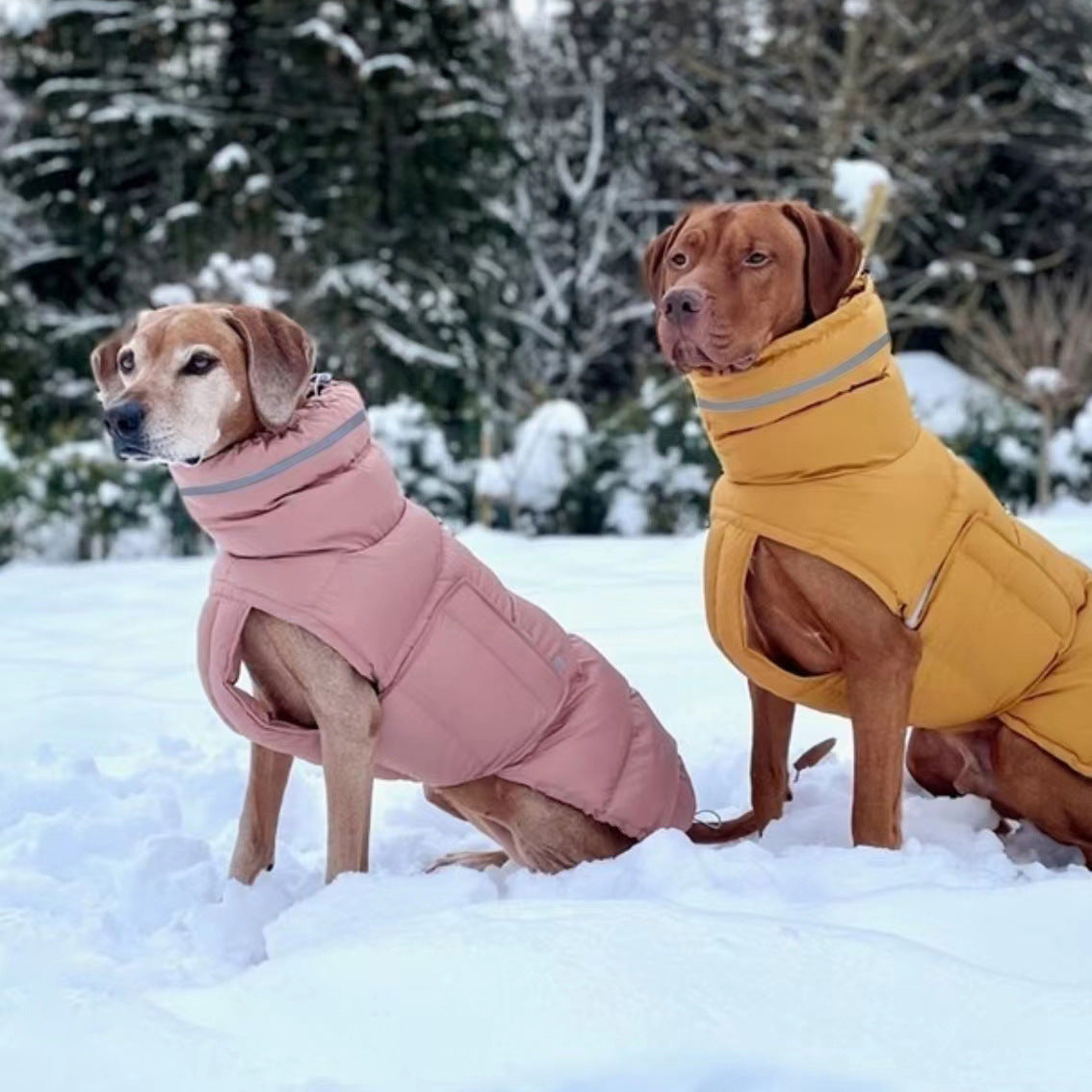 Thick Winter Jacket