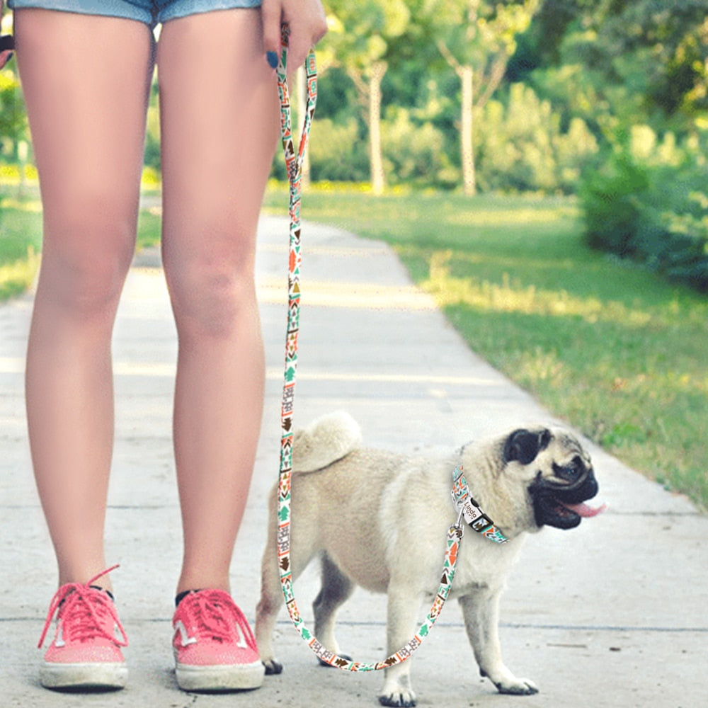 Thick Nylon 5ft Leash