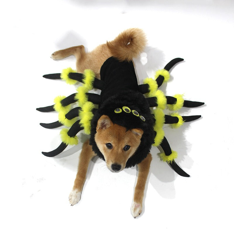 Halloween spider costume