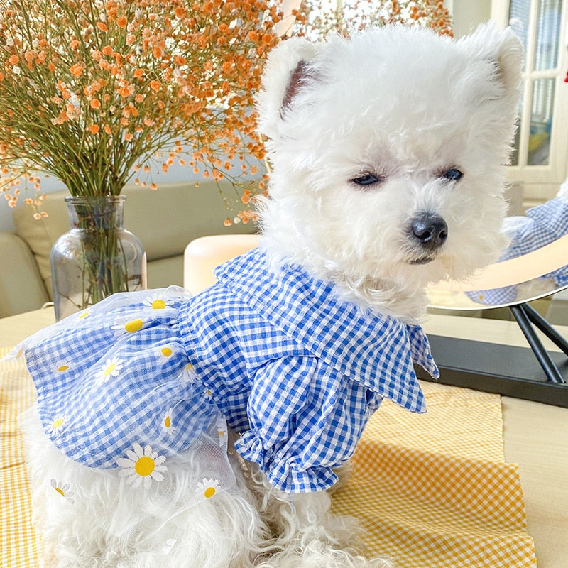 Summer Daisy Dress