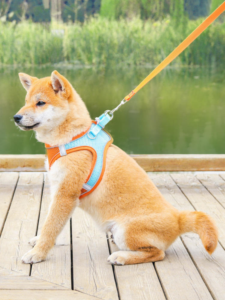 Reflective Harness