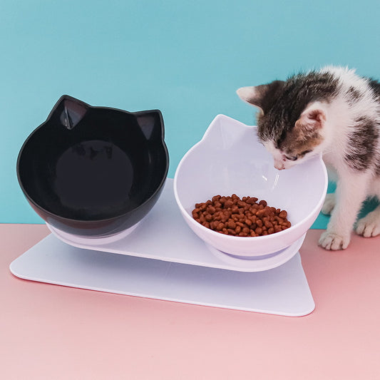 Angled Cat Bowl