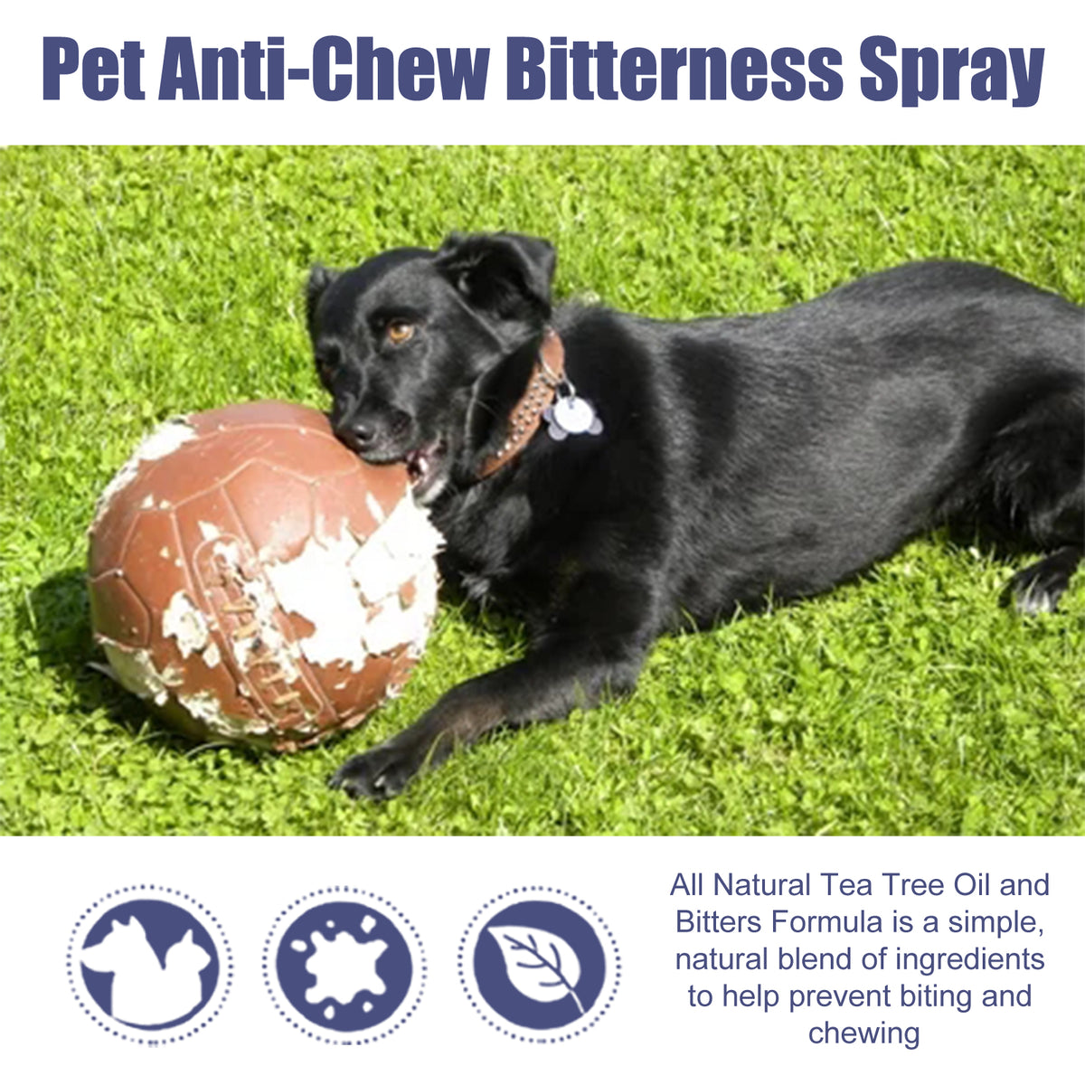 No chew bitter training spray