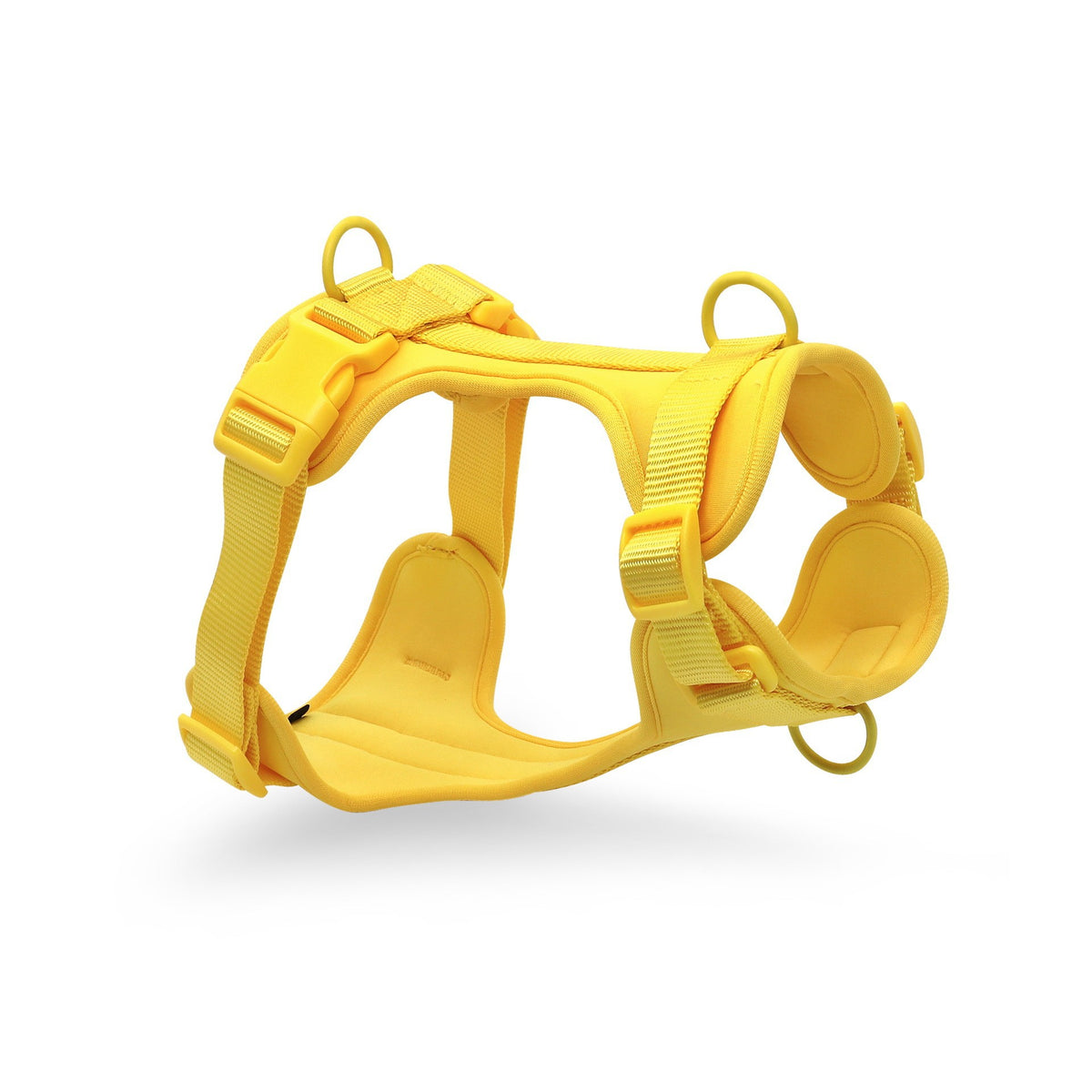 Waterproof PVC Collar/Leash/Harness