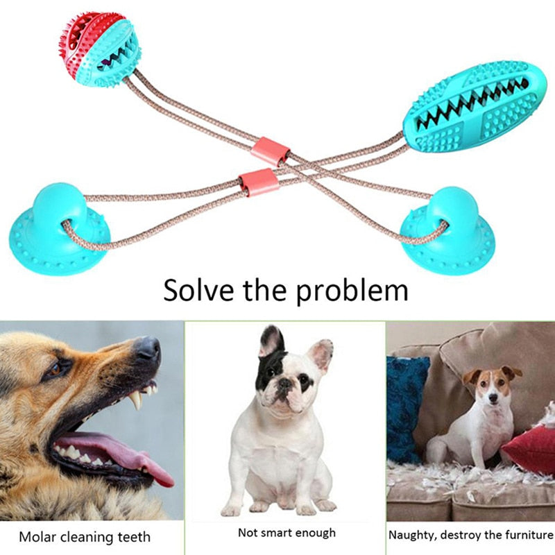 Suction Cup Tug Treat Dispenser