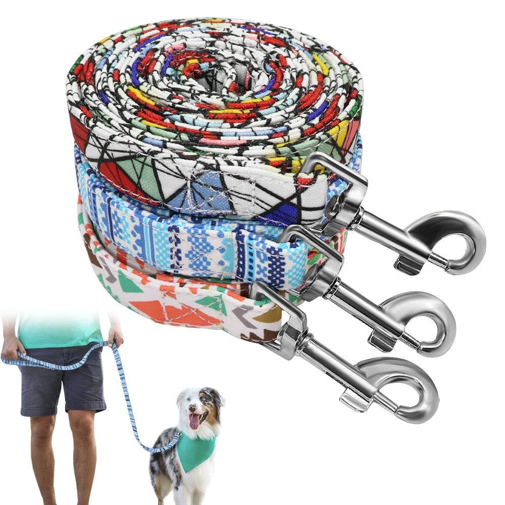 Thick Nylon 5ft Leash
