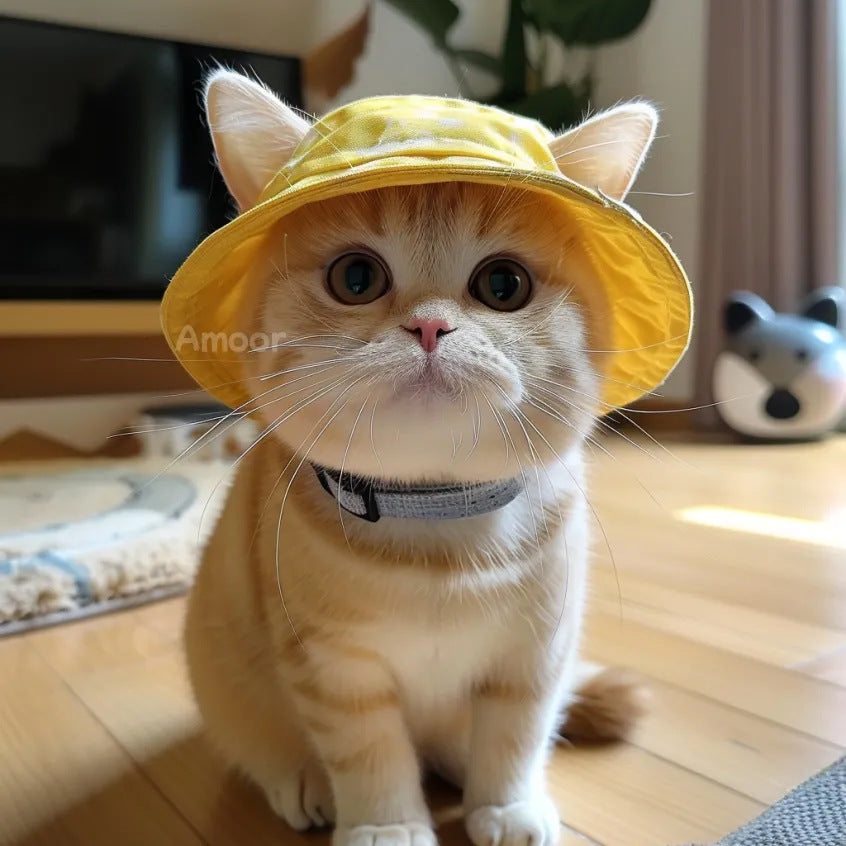 Cute Pet Hats