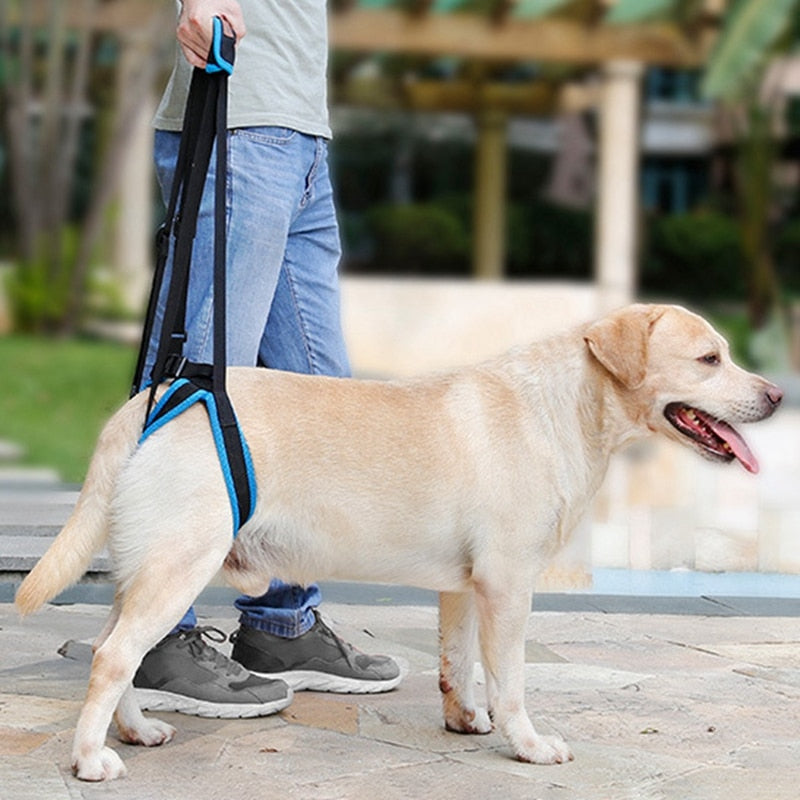 Back Leg Support Sling