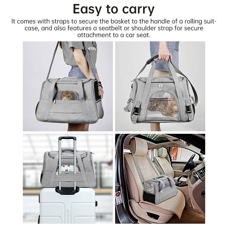 Pet Carrier