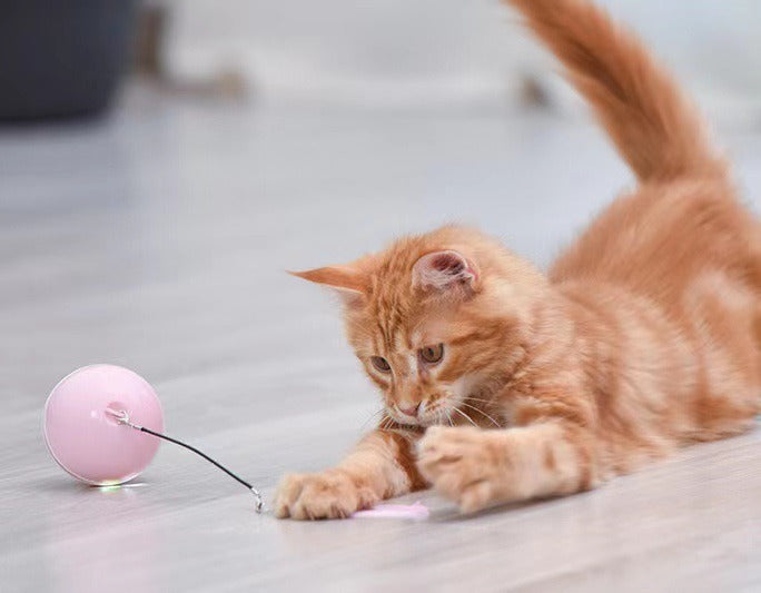 Automatic Rolling Cat Toy