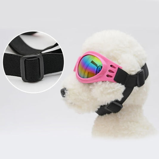 Pet Goggles