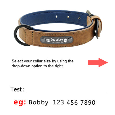 Personalized Leather Collar/Leash