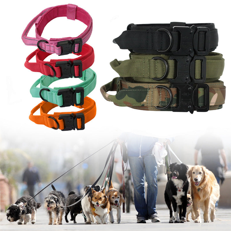 Tactical Collar/Leash