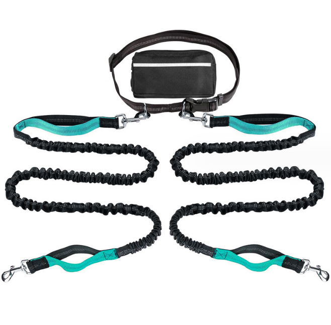 2 dog jogging waist leash