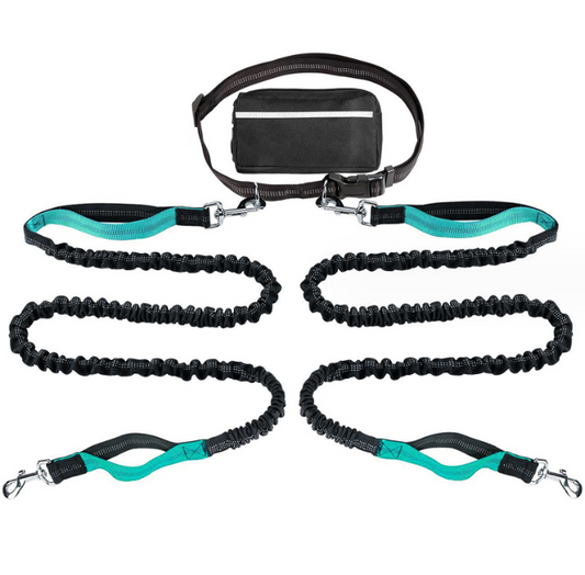 2 dog jogging waist leash