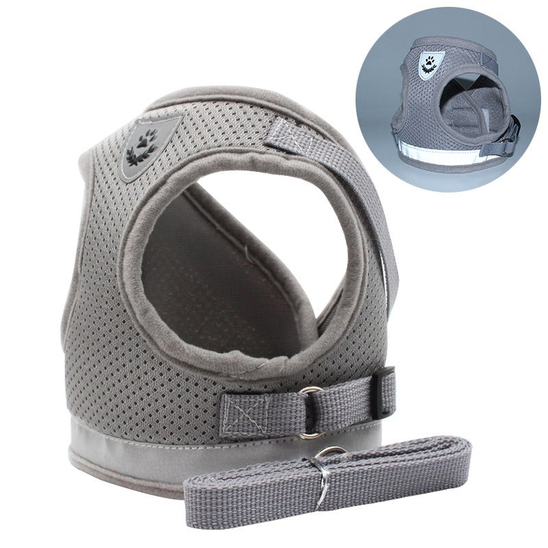 Harness/Leash Set