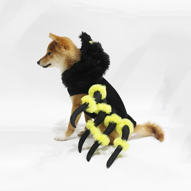 Halloween spider costume