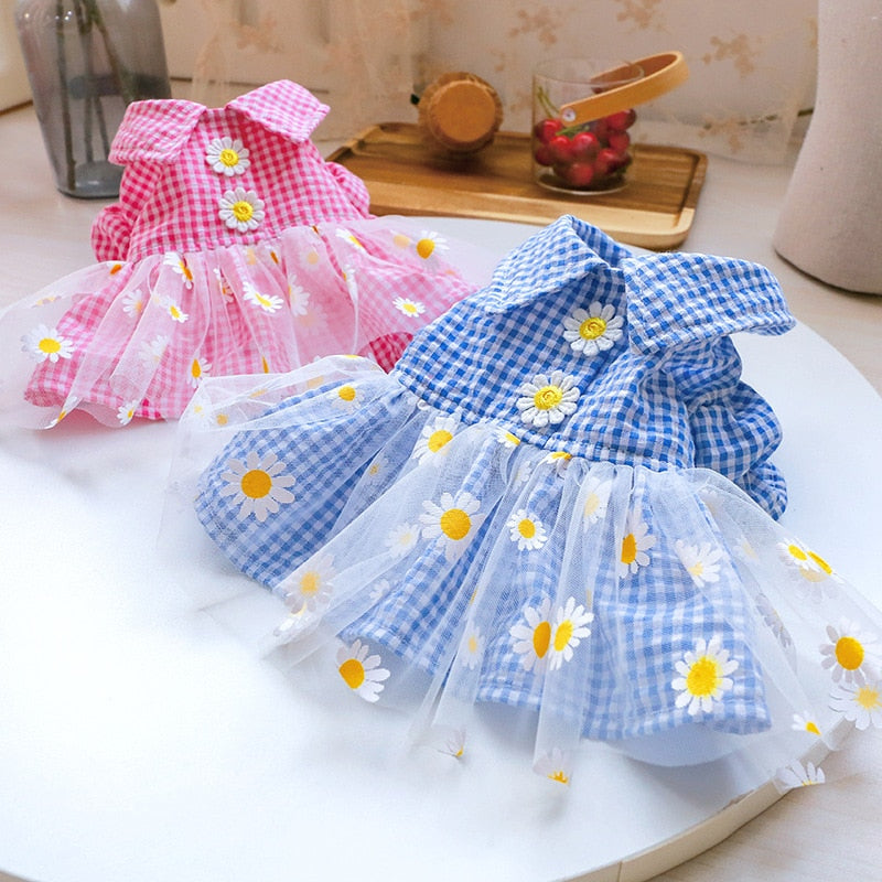 Summer Daisy Dress