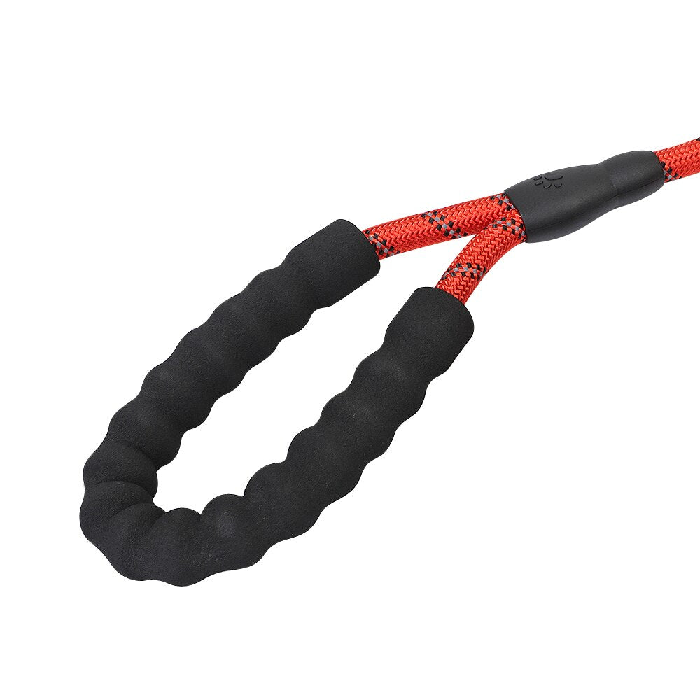 Reflective Leash