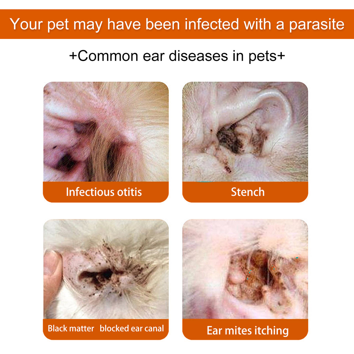 Ear Cleaning Wipes