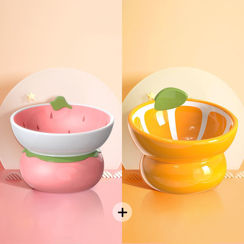 Ceramic Raised Food/Water Bowl