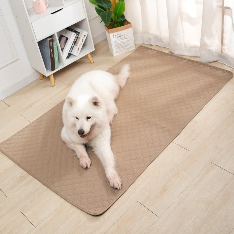 Washable Water Absorbing Pad