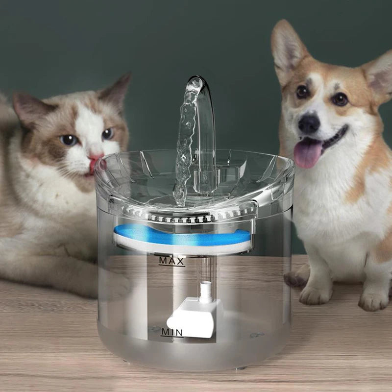 Pet Water Fountain