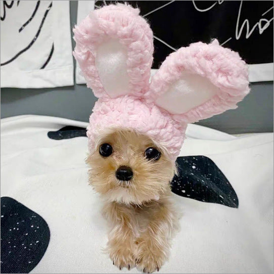 Cute Pet Hats