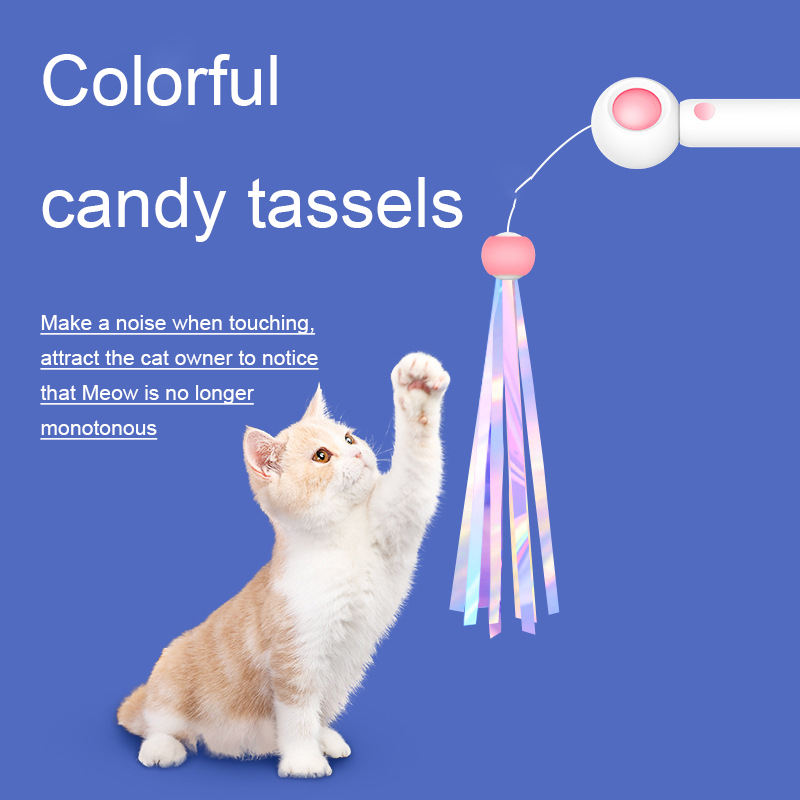 Cat Wand Toy with Laser