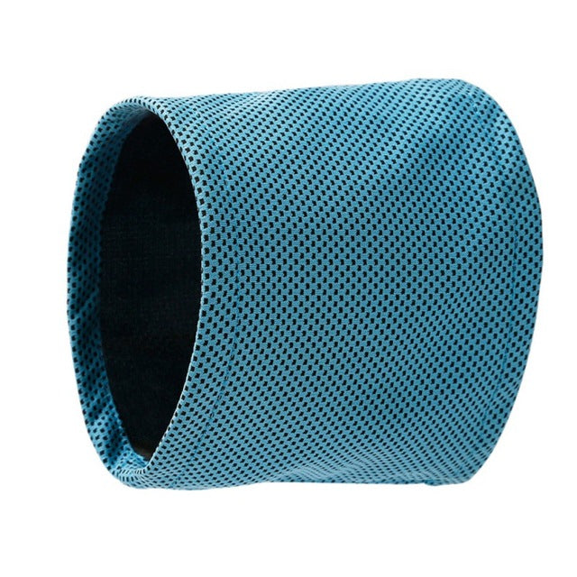 Summer Pet Cooling Bandana