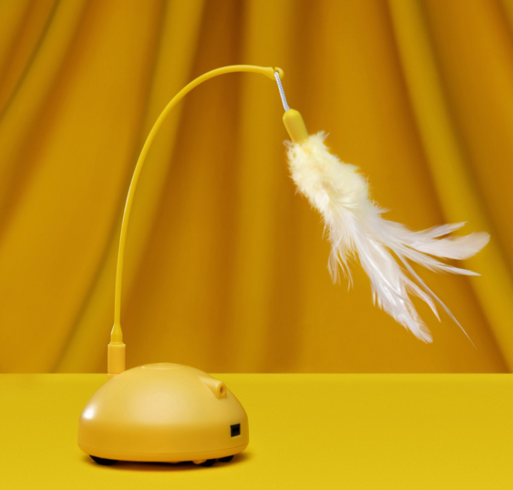 Roaming Cat toy with feather and laser