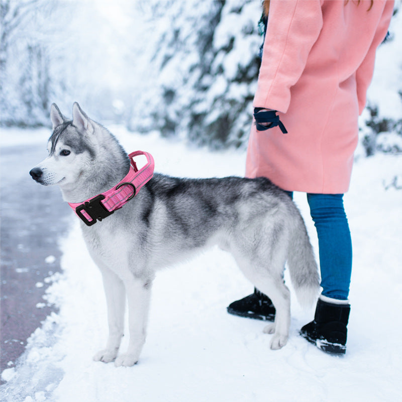 Tactical Collar/Leash