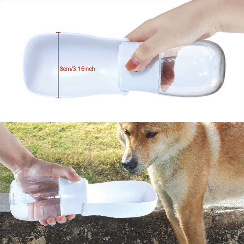 Travel Water Bottle