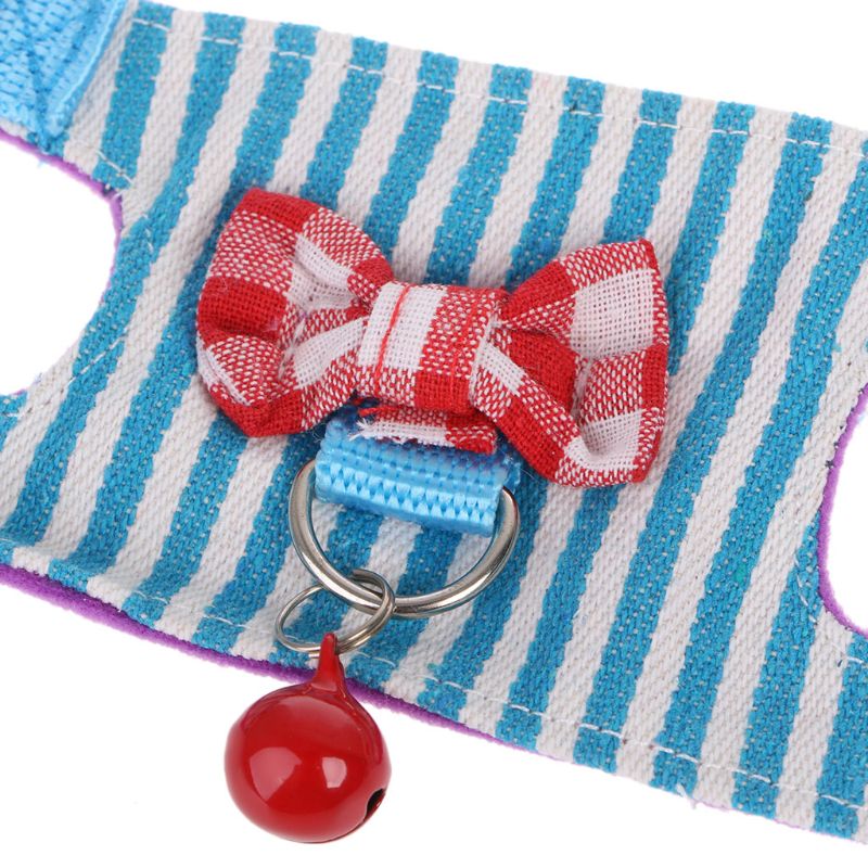 Small Animal Harness/Leash Set