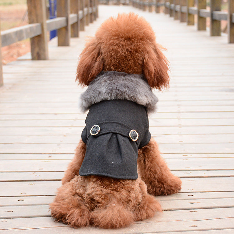 Winter Coat
