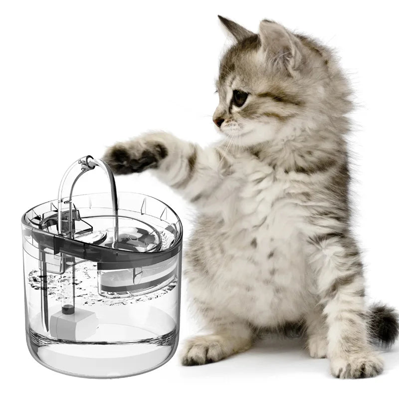 Pet Water Fountain